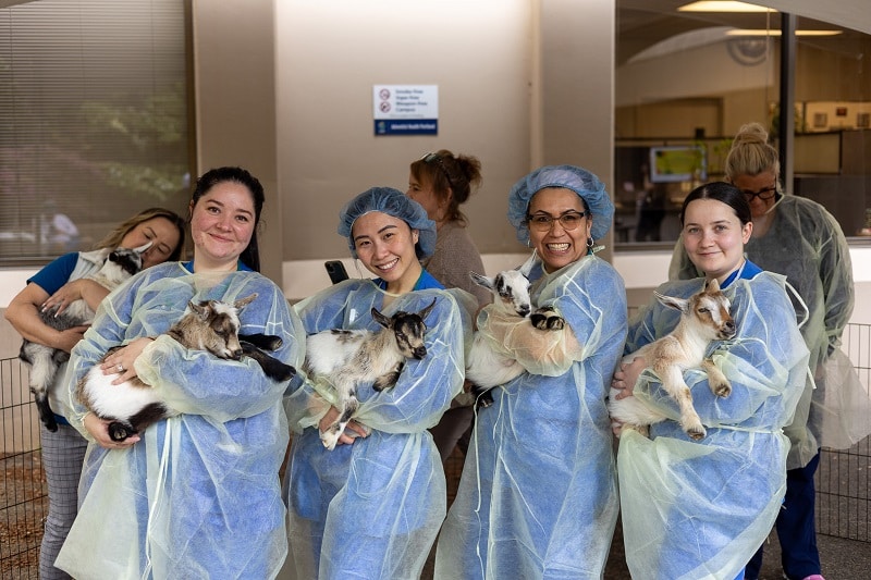 Nurses holding baby goats.